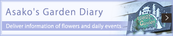 Asako's Garden Diary